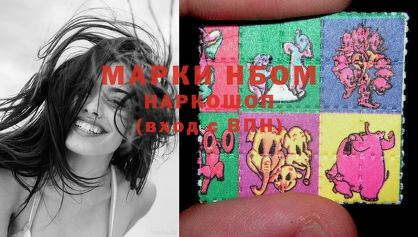 PSILOCYBIN Дмитриев
