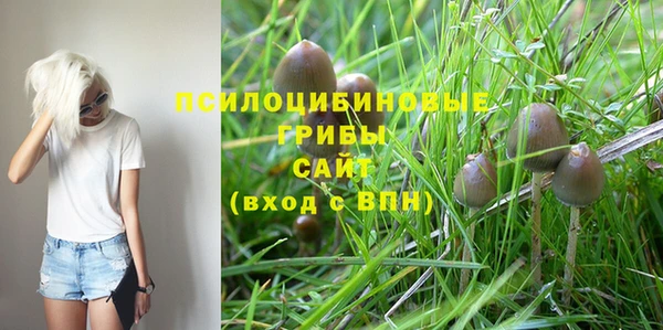 марки lsd Дмитровск
