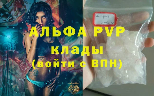 PSILOCYBIN Дмитриев