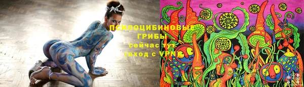 PSILOCYBIN Дмитриев