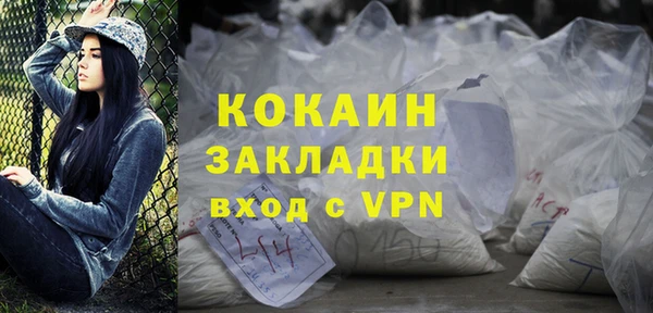 PSILOCYBIN Дмитриев