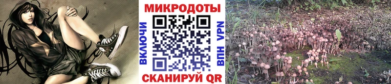 Купить закладки  Красноперекопск  Галлюциногенные грибы мухоморы 